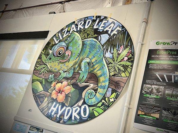 Lizard Leaf Hydro