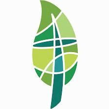 Vine & Branches Childcare