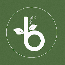 Brundavanam Indian Vegetarian Restaurant