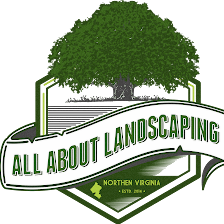 All About Landscaping