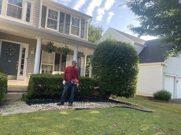 Daddy Green Landscaping LLC