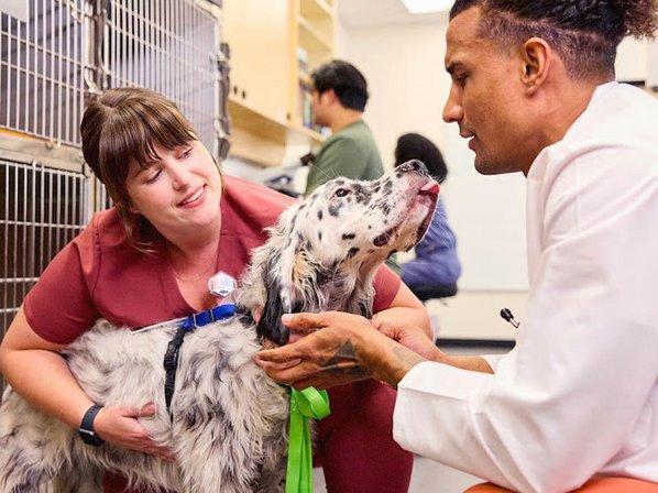 Banfield Pet Hospital