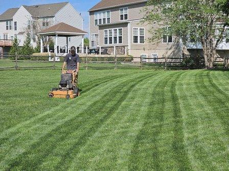 Gladiator Grass Lawn Care