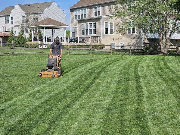 Gladiator Grass Lawn Care