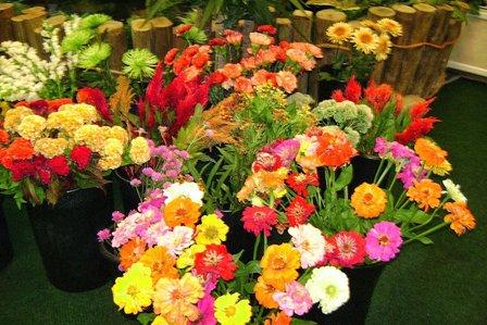 Dulles Florist Inc