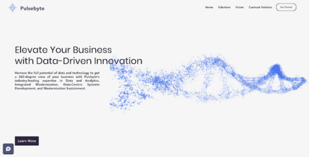 PulseByte LLC - industry-leading expertise in Data and Analytics