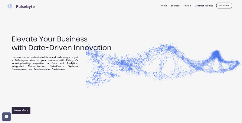 PulseByte LLC - industry-leading expertise in Data and Analytics