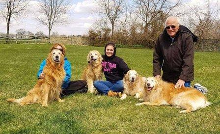 CVCA Cardiac Care For Pets