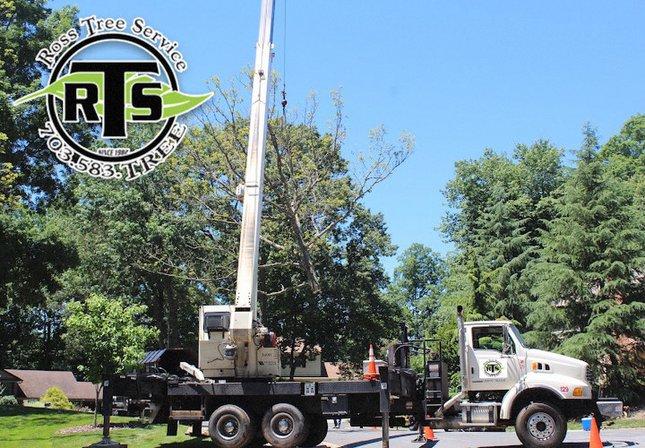 Ross Tree Service Ltd