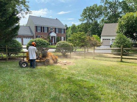 All About Landscaping