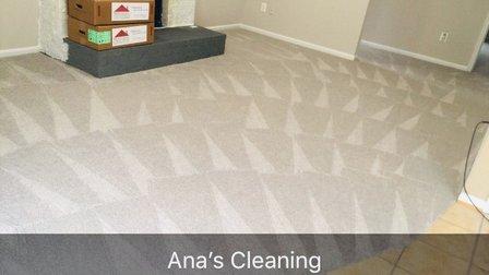 Ana's Cleaning Services LLC