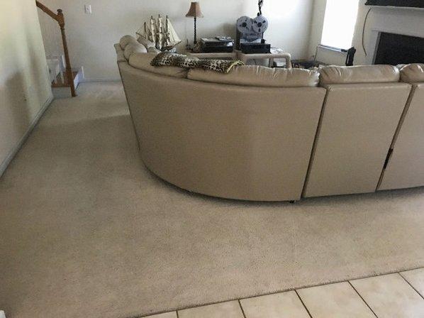 My Carpet Cleaner