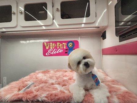 VIP Pet Elite
