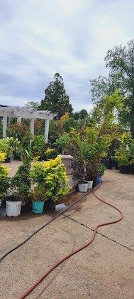 Greenworks Landscaping & Wholesale Nursery