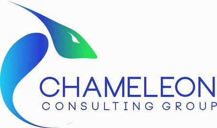 Chameleon Consulting Group, Llc