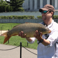 Fly Fishing Consultant