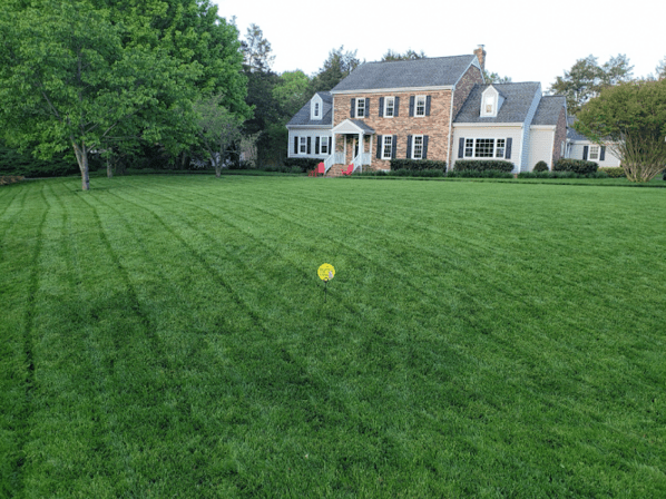 Virginia Green Lawn Care