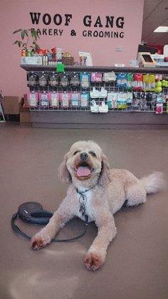 Woof Gang Bakery & Grooming Ashburn