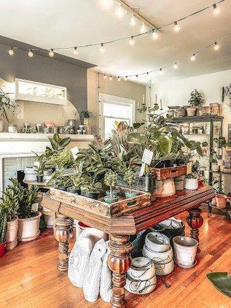 Botanologica