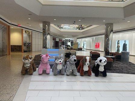 Fluffy Rides
