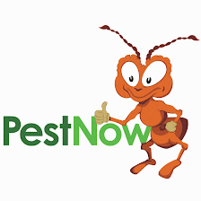 PestNow