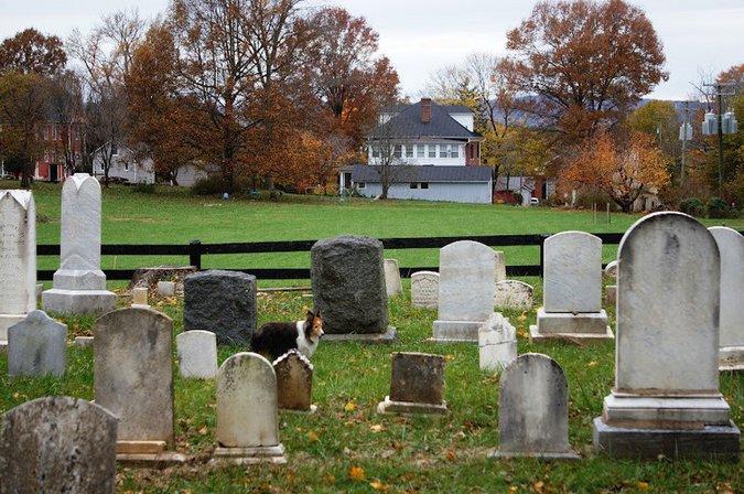 Waterford Union of Churches Cemetery