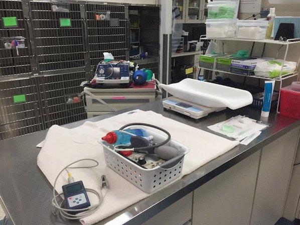 VCA Animal Emergency Critical Care
