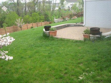 American Lawn Brothers, Inc.