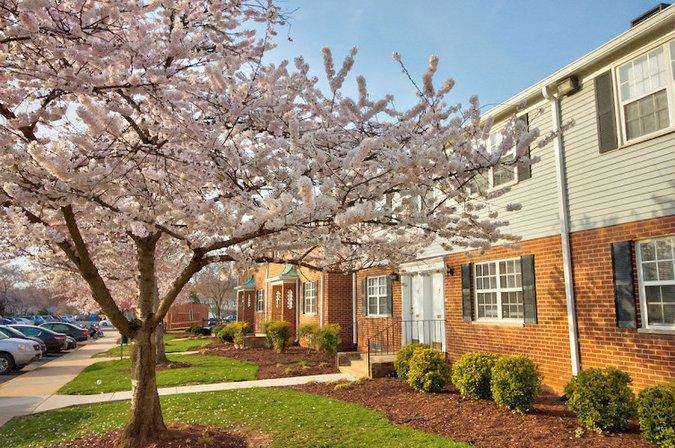 Kingsley Commons Townhouses