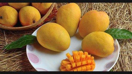 Fresh Mangoes