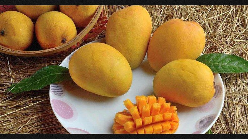 Fresh Mangoes