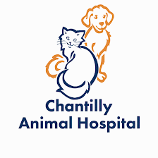 Chantilly Animal Hospital