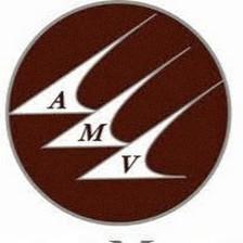 American Management of Va Inc