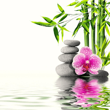 Katy Aromatherapy Spa