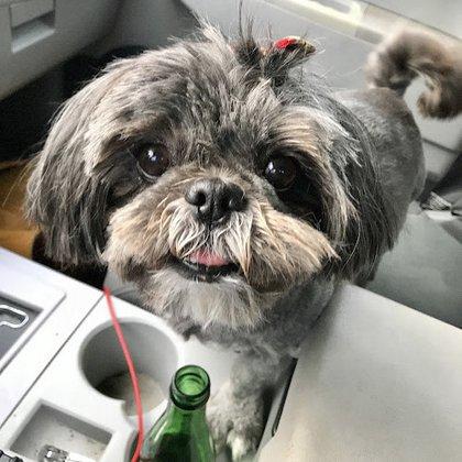Bark N' Bubbles Dog Wash