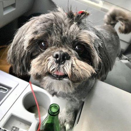 Bark N' Bubbles Dog Wash