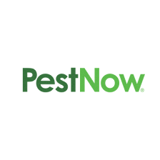 PestNow