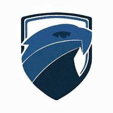 Falcon Academy