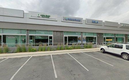 Blue Mountain Data Systems Inc