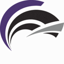 Centurion Consulting Group, LLC