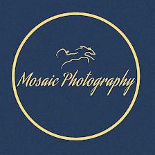 Mosaic Photography
