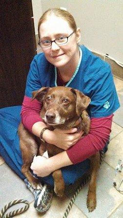 Harmony Hill Animal Hospital