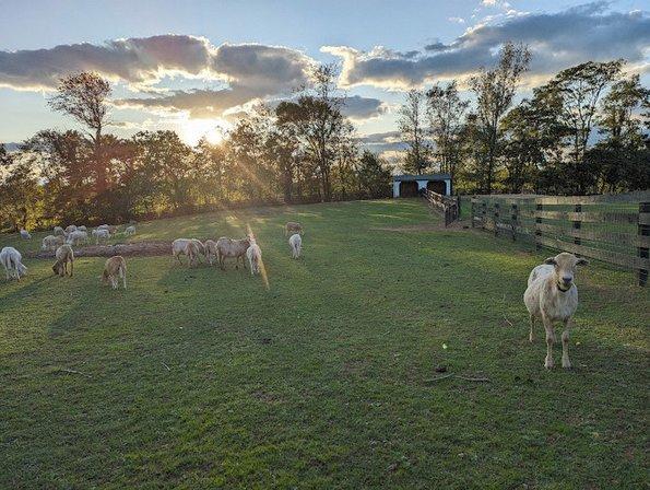 Last Resort Farm