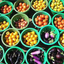 Potomac Vegetable Farms