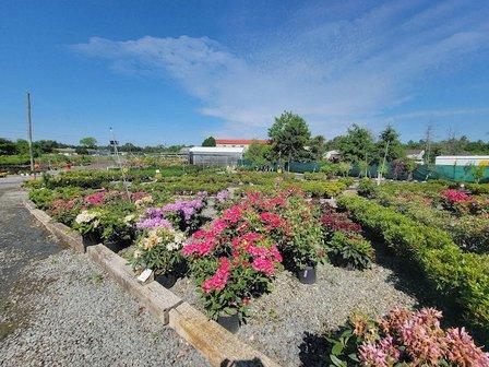 Meadows Farms Nurseries and Landscape