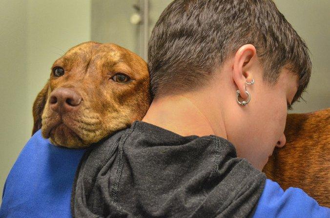 Animal Medical Centers of Loudoun - Ashburn