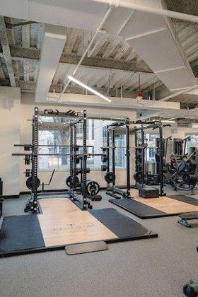 Thesis Personal Training Tysons
