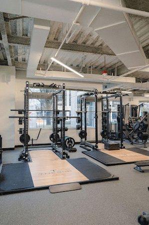 Thesis Personal Training Tysons