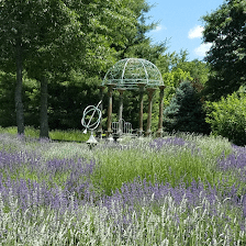 Blooming Hill Lavender Farm