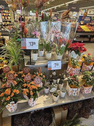 Giant Floral